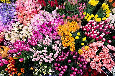 6月中国手游海外收入排行：《原神》第一 不朽第三